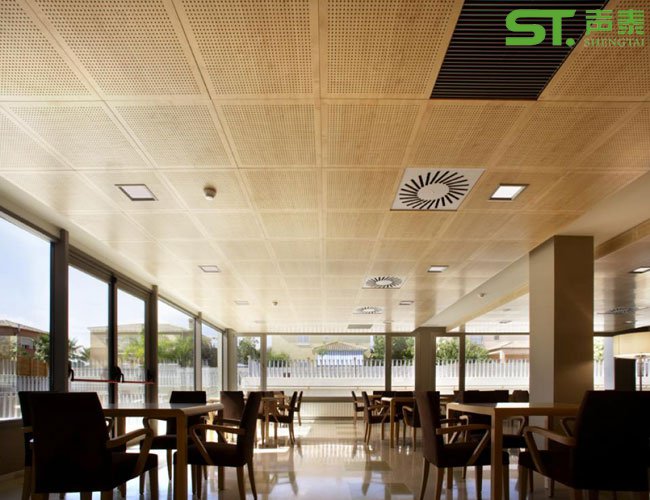 安格利木皮孔木吸音板(圖2)