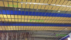清遠(yuǎn)學(xué)?；@球館吊頂空間吸聲體案例