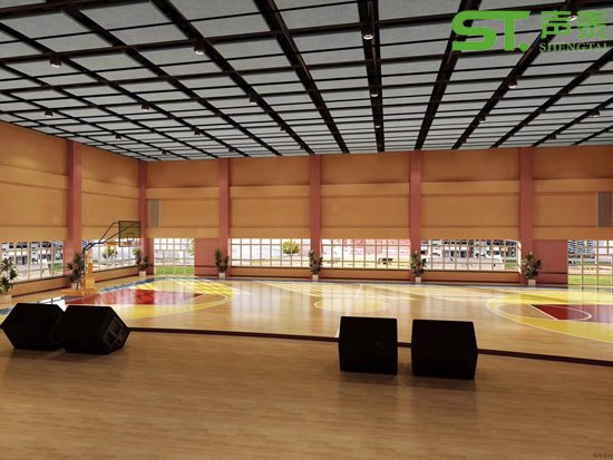 深圳寶安實驗中學(xué)二小體育館(圖1)